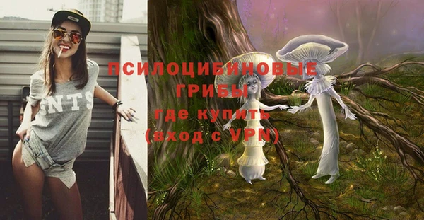твердый Сафоново