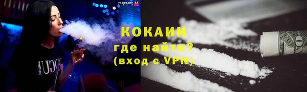 индика Магас