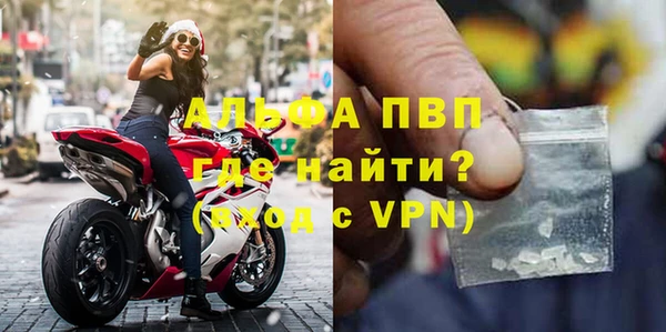 индика Магас