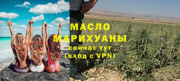 индика Магас