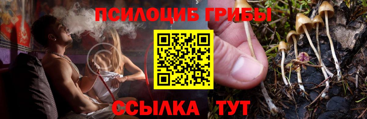 Галлюциногенные грибы GOLDEN TEACHER Ковров