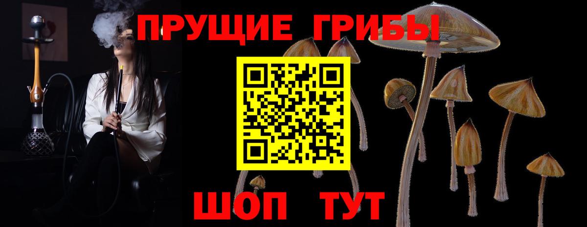 Галлюциногенные грибы прущие грибы  Вход с VPN  Ковров  Псилоцибиновые грибы прущие грибы 